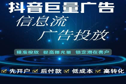 XX行业竞价广告的投放策略与效果分析